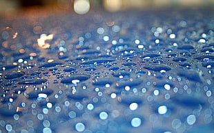 close-up photography of dew drops HD wallpaper